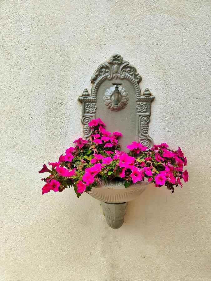 Blue Room Termoli Ngoại thất bức ảnh